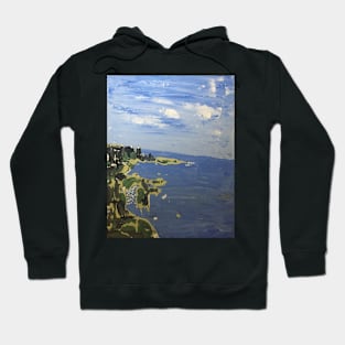 Birds Eye View Hoodie